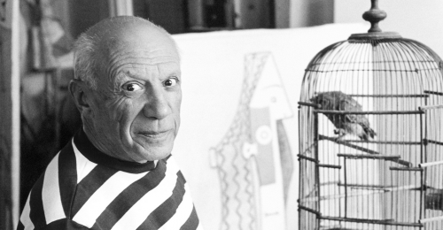 Xpo Center Bruges Picasso: Korting